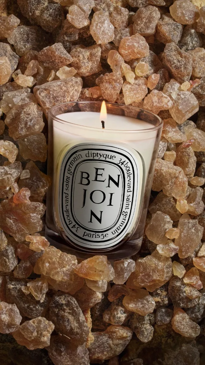 Benjoin (Benzoin) - Classic Candle - Image 3