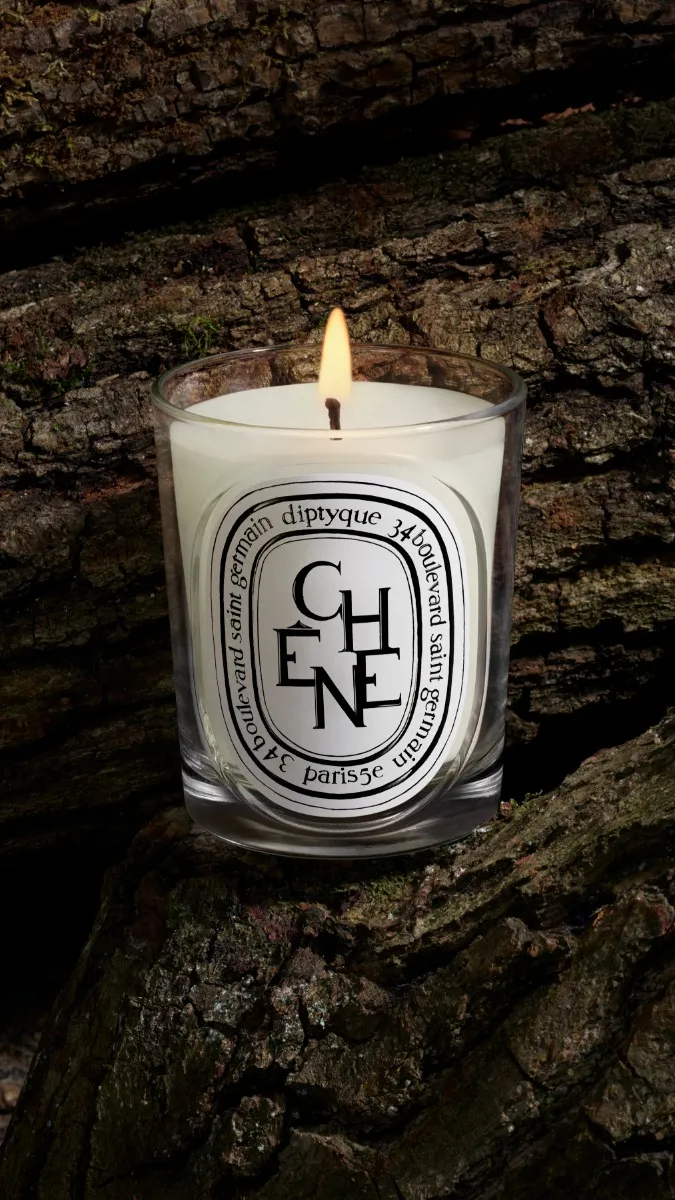 Chêne (Oak Tree) - Classic Candle - Image 3