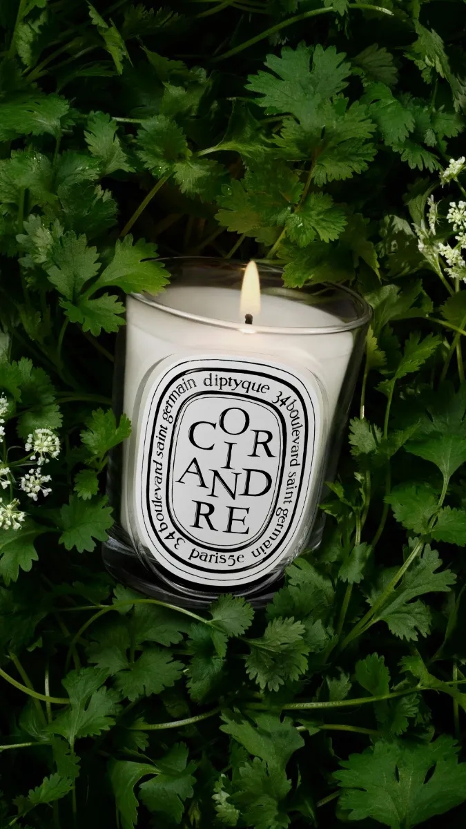 Coriandre (Coriander) - Classic Candle - Image 3