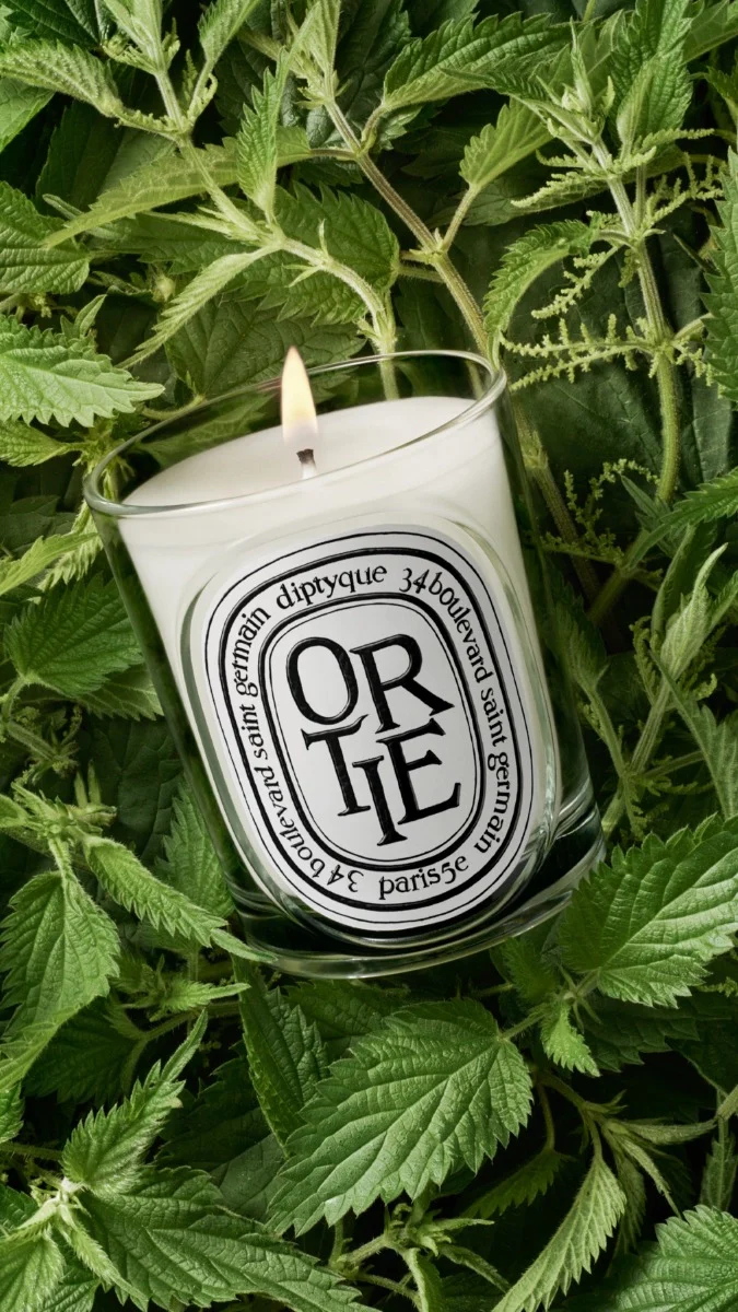 Ortie (Nettle) - Classic Candle - Image 3