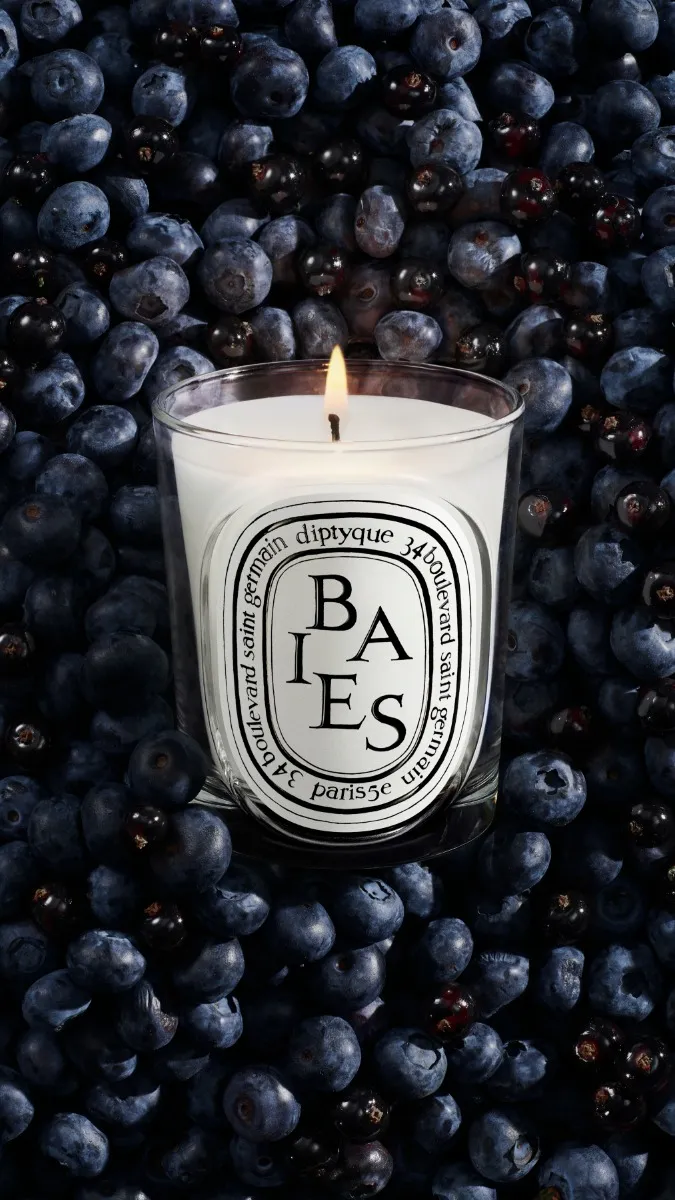 Baies (Berries) - Refill for classic candles - Image 3