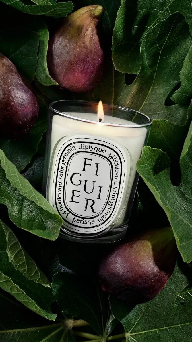 Figuier (Fig Tree) - Refill for classic candles - Image 3